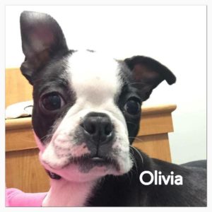 Olivia-1